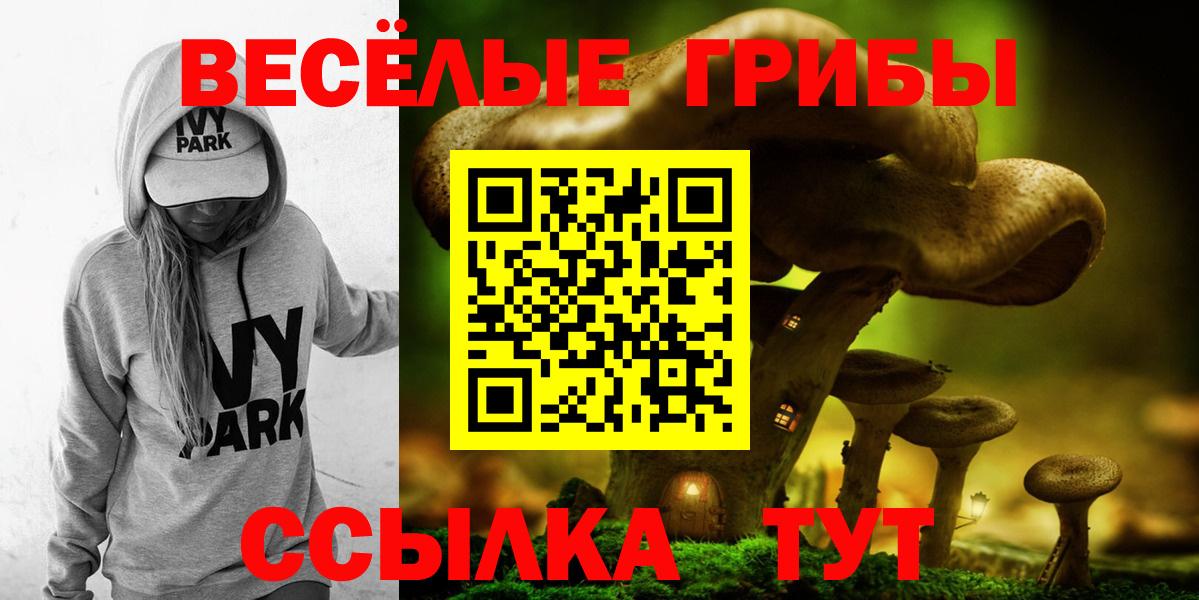 Псилоцибиновые грибы прущие грибы Чита